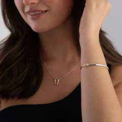 Astley Clarke Aurora U-Hoop 18ct Yellow Gold Vermeil and Silver Necklace