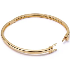 Astley Clarke Celestial Silver White Sapphire Bangle