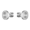 BOSS Iona Silver Crystal Ladies Stud Earrings