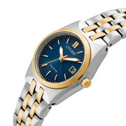 Citizen 28mm Stainless Steel and Yellow Gold Tone Eco Drive Ladies Watch