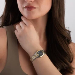 Citizen 28mm Stainless Steel and Yellow Gold Tone Eco Drive Ladies Watch