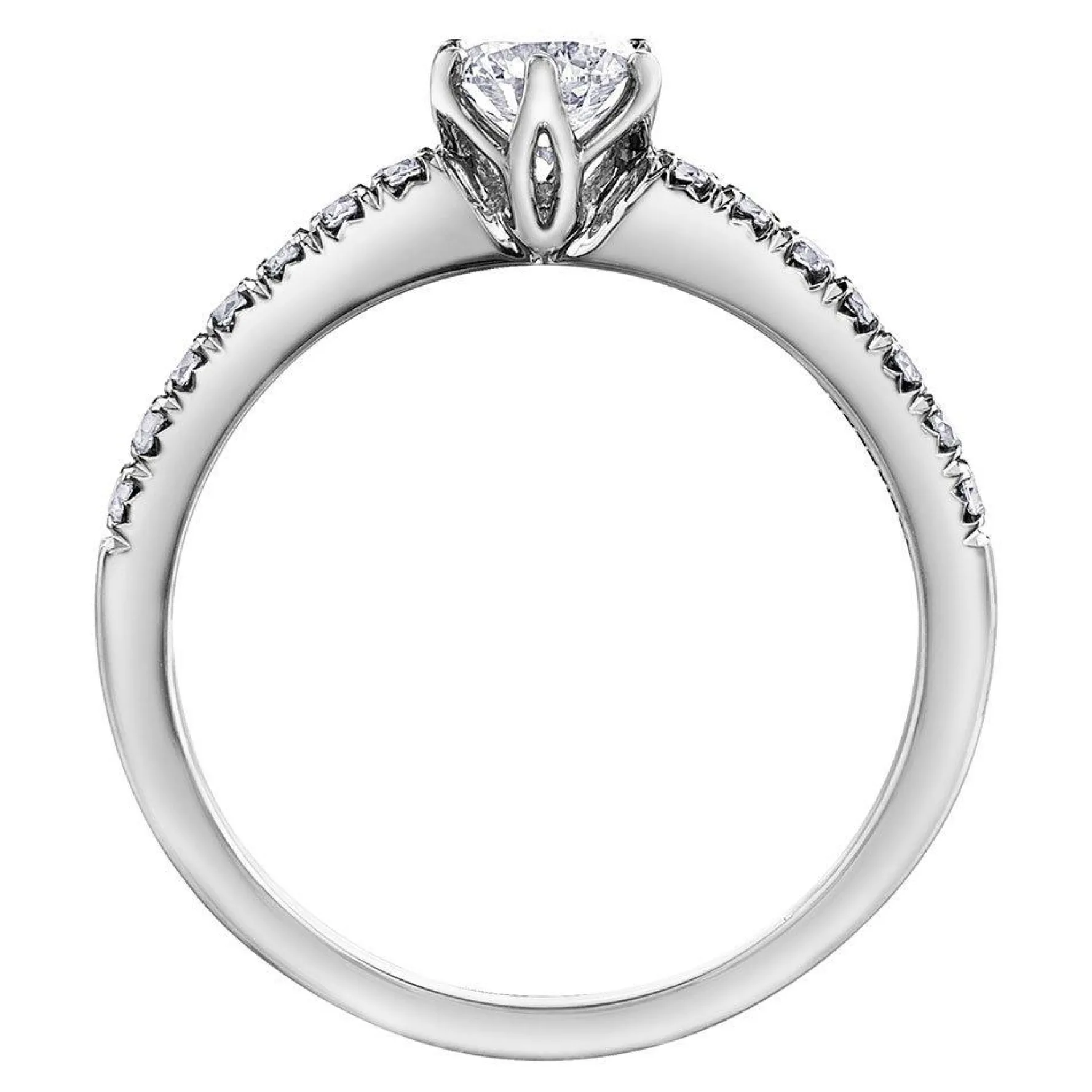 Maple Leaf Diamonds 18ct White Gold Diamond Ring
