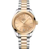 OMEGA Seamaster Aqua Terra Shades 34mm Stainless Steel and 18K Moonshine Gold Automatic Watch