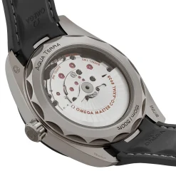 OMEGA Seamaster Aqua Terra 150M 43mm Co-Axial Master Chronometer Worldtimer Men’s Watch