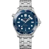 OMEGA Seamaster Diver 300M 42mm Co-Axial Master Chronometer Automatic Men's Watch