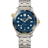 OMEGA Seamaster Diver 300M 42mm Stainless Steel and 18K Gold Automatic Men’s Watch