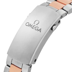 OMEGA Seamaster Planet Ocean 600M 45.5mm Steel and 18K Sedna Gold Men's Watch