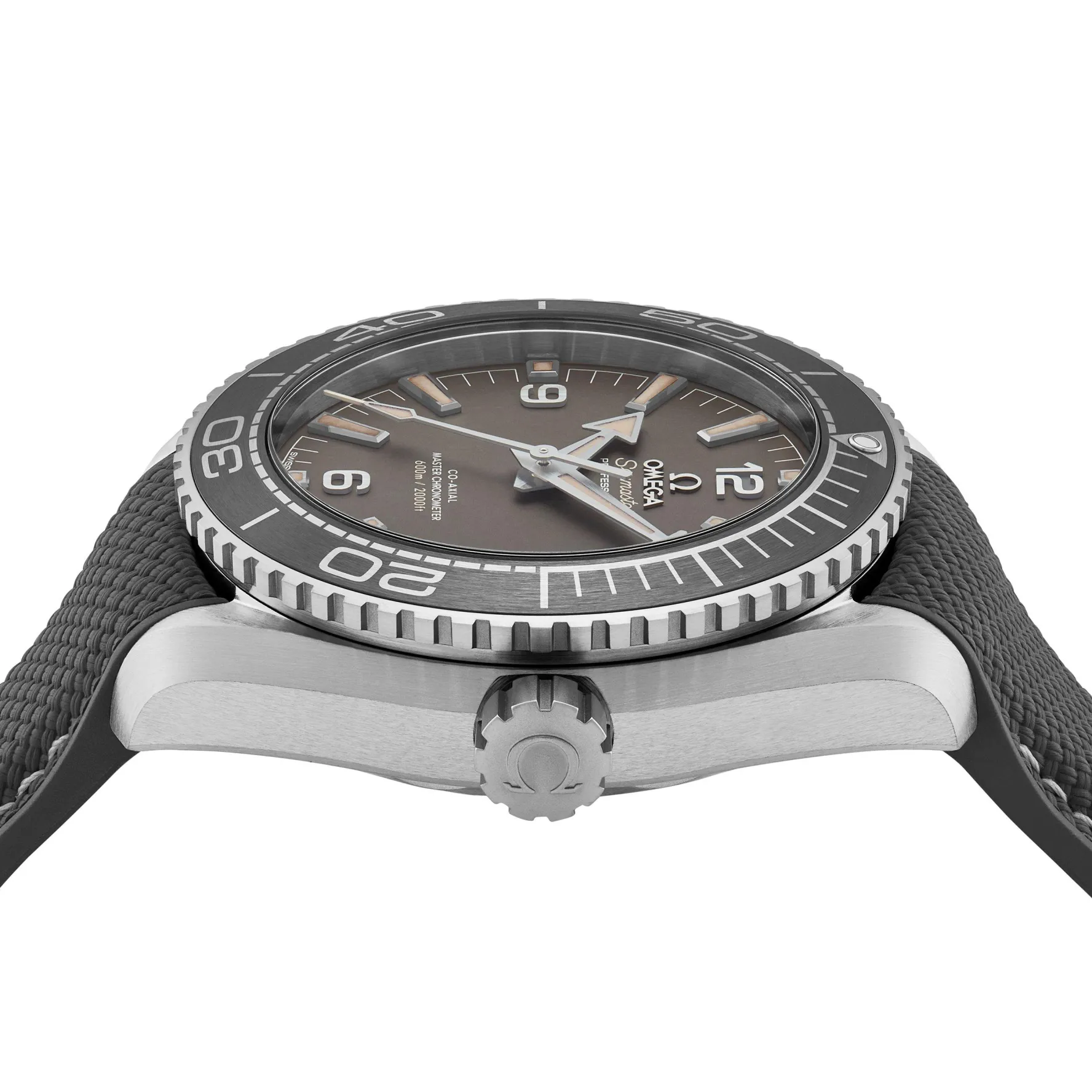 OMEGA Seamaster Planet Ocean 600M 43.5mm Co-Axial Master Chronometer Automatic Men’s Watch