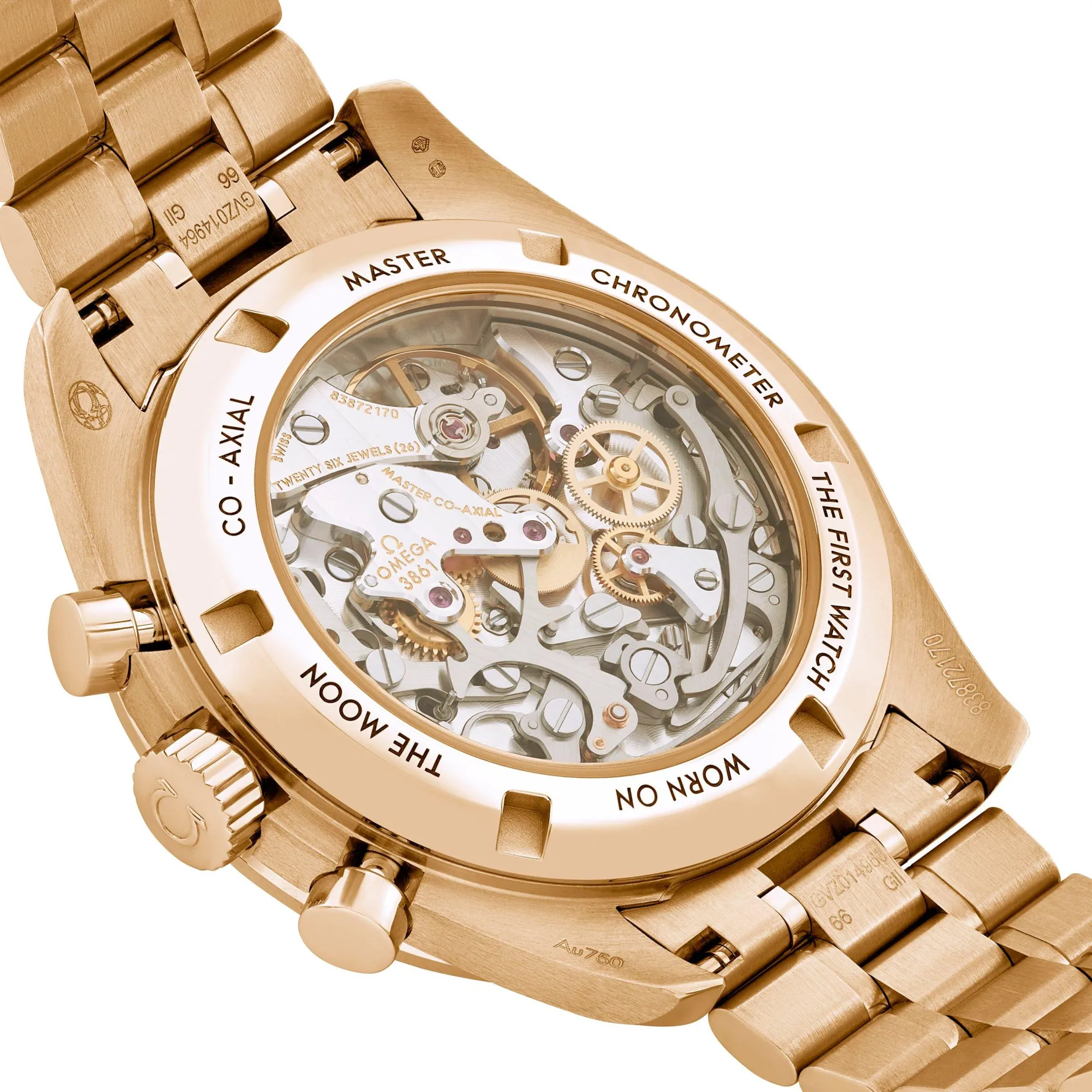 OMEGA Speedmaster Moonwatch Professional 42mm Co-Axial Master Chronometer Men’s Watch