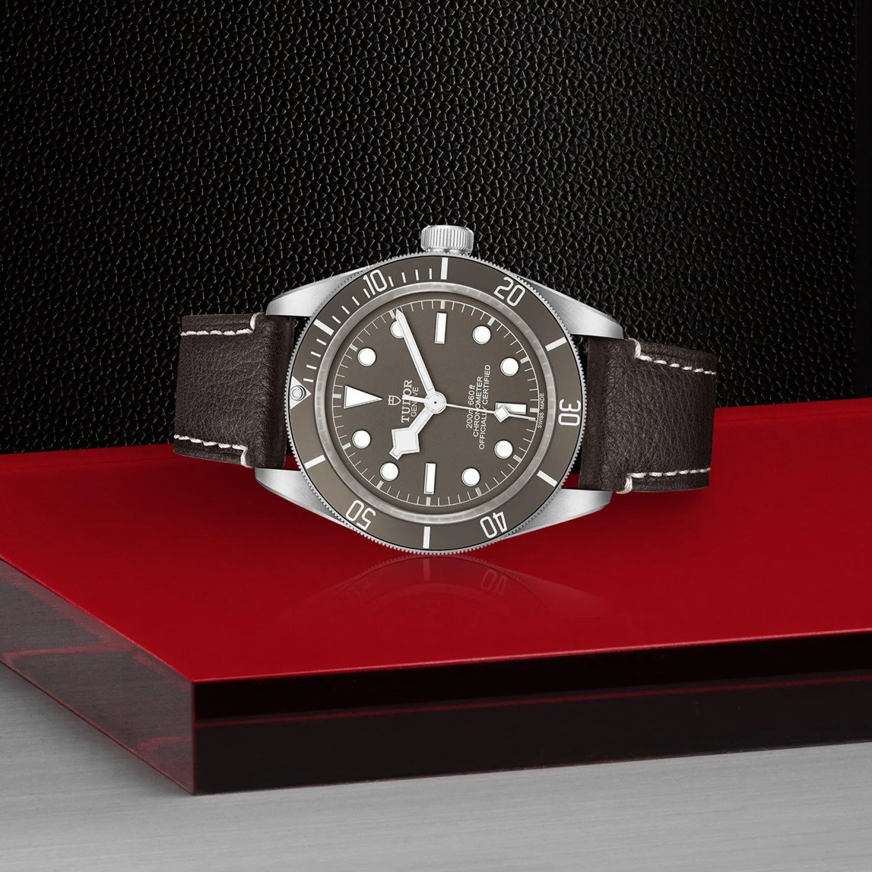 TUDOR Black Bay 58 925 39mm Men's Watch