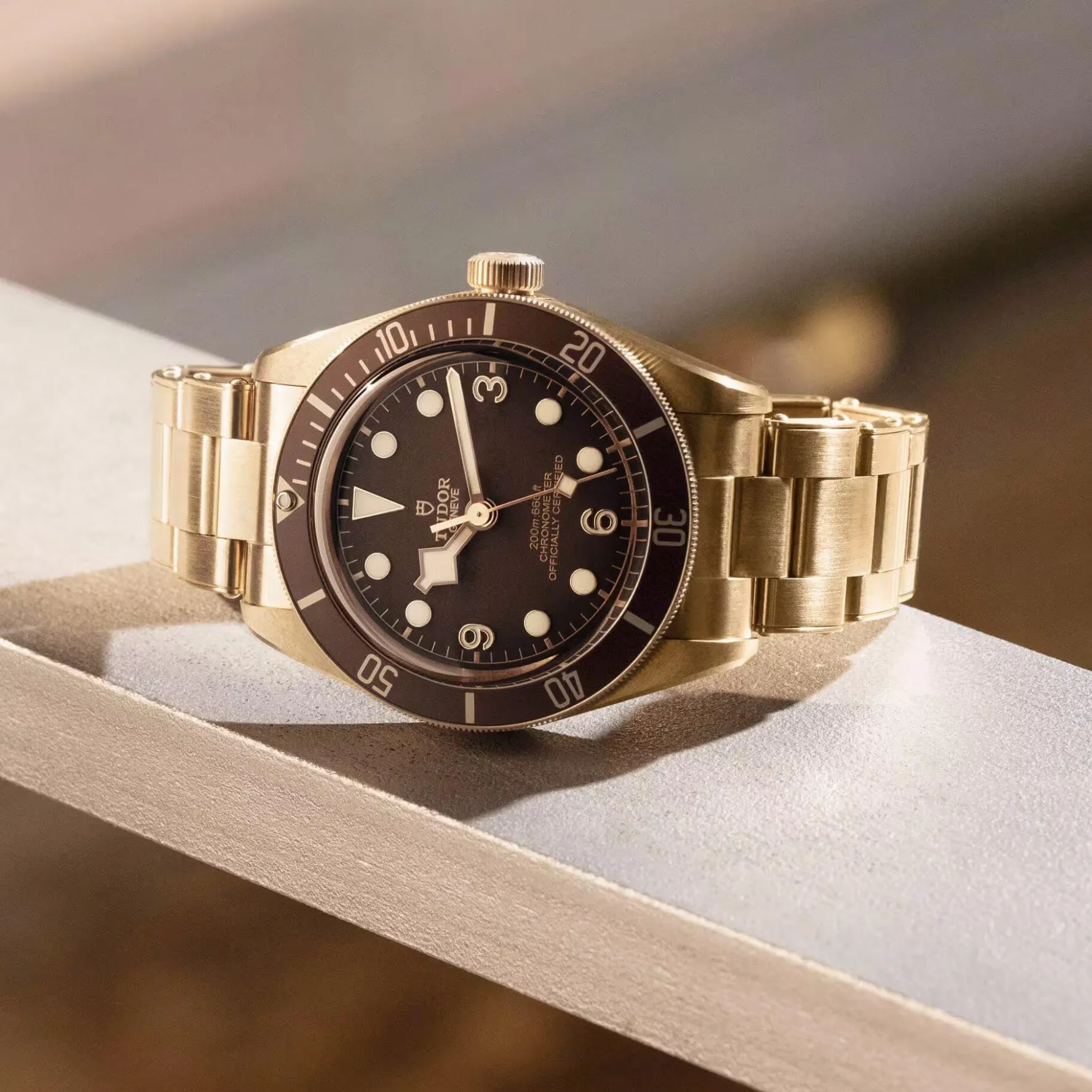 TUDOR Black Bay 58 Bronze 39mm Automatic Watch