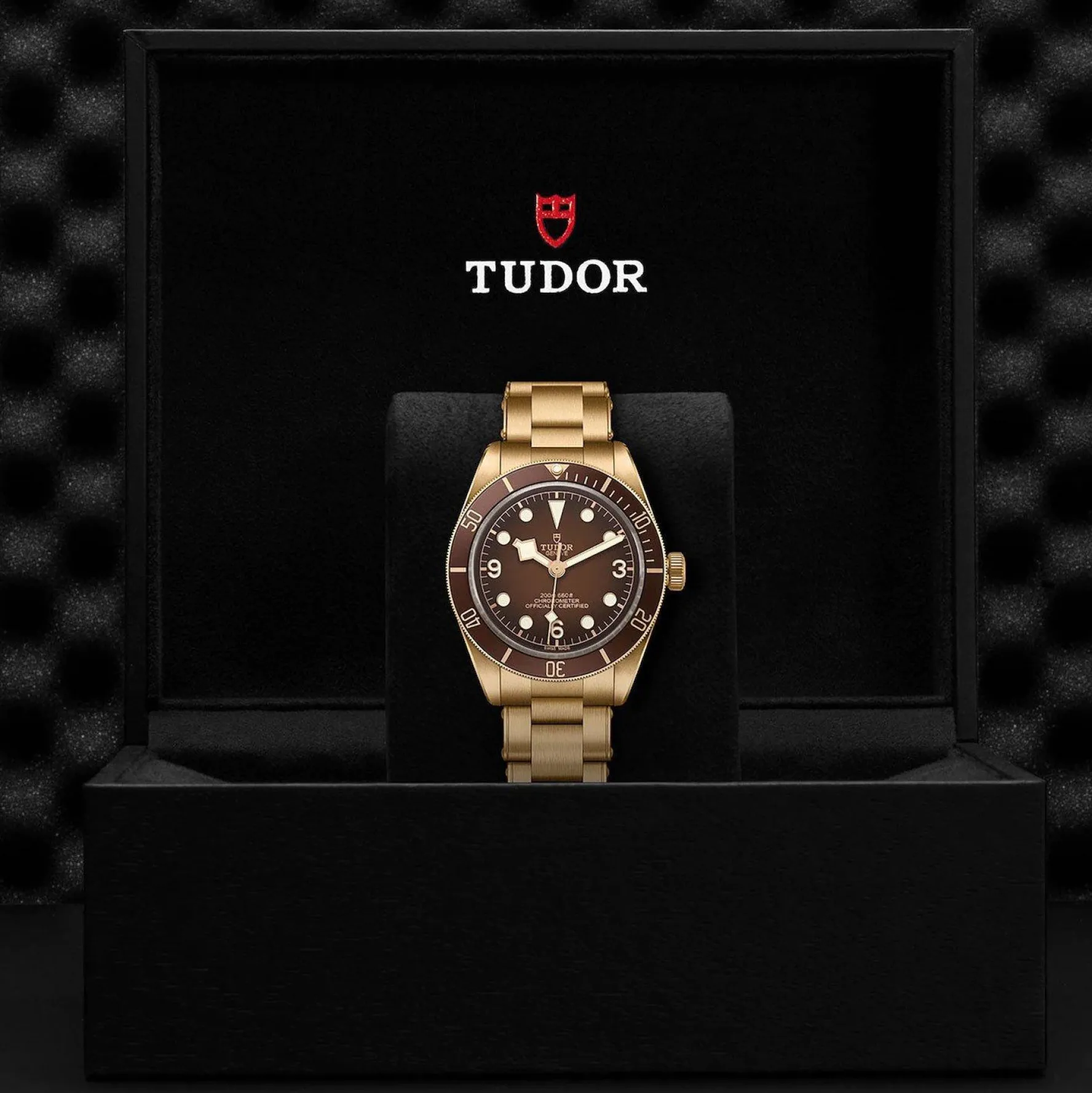 TUDOR Black Bay 58 Bronze 39mm Automatic Watch