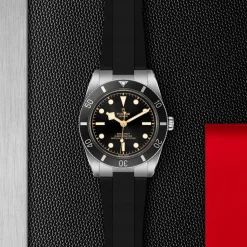 TUDOR Black Bay 54 37mm Automatic Men's Watch