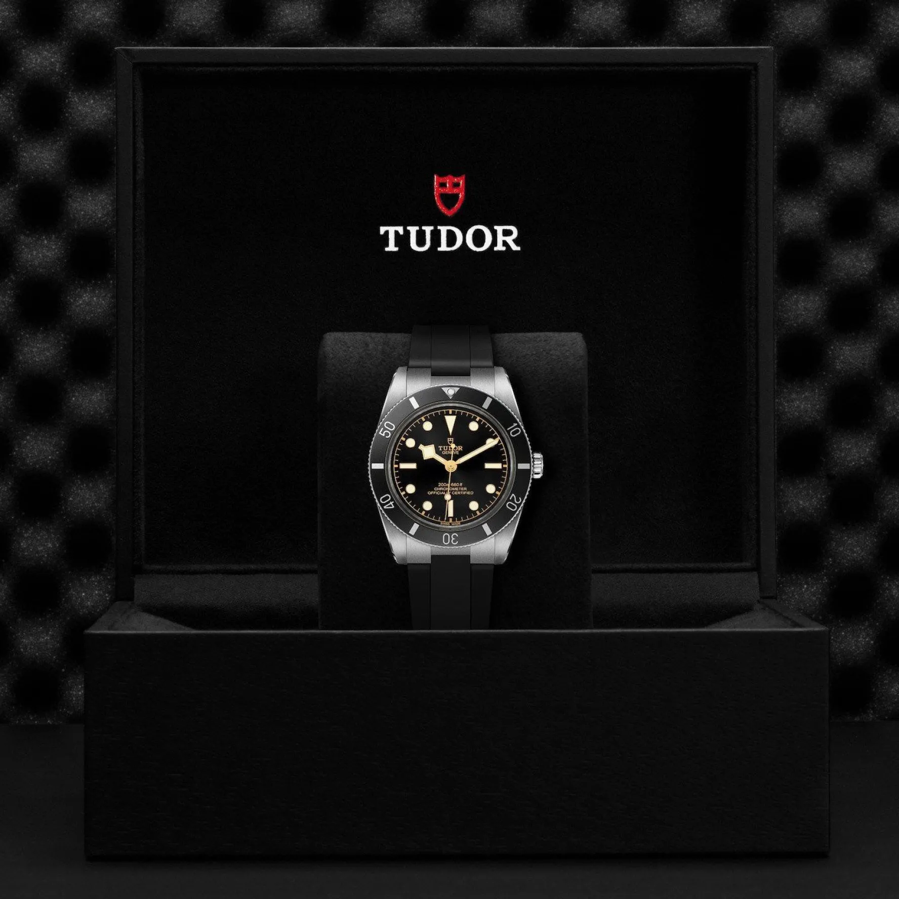 TUDOR Black Bay 54 37mm Automatic Men's Watch