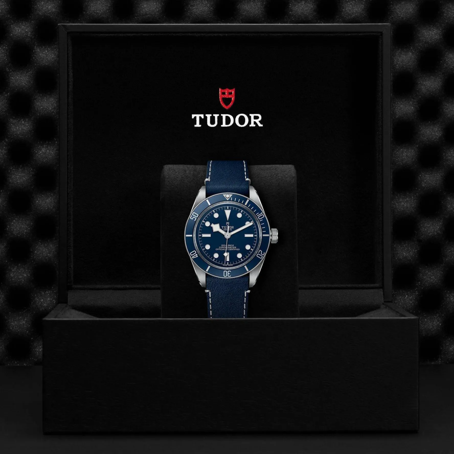 TUDOR Black Bay 58 39mm Automatic Men's Watch