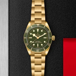 TUDOR Black Bay 58 39mm 18ct Yellow Gold Automatic Men’s Watch
