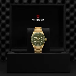 TUDOR Black Bay 58 39mm 18ct Yellow Gold Automatic Men’s Watch