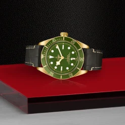 TUDOR Black Bay 58 39mm 18ct Yellow Gold Automatic Men’s Watch
