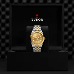 TUDOR Black Bay One S&G 41mm Automatic Ladies Watch