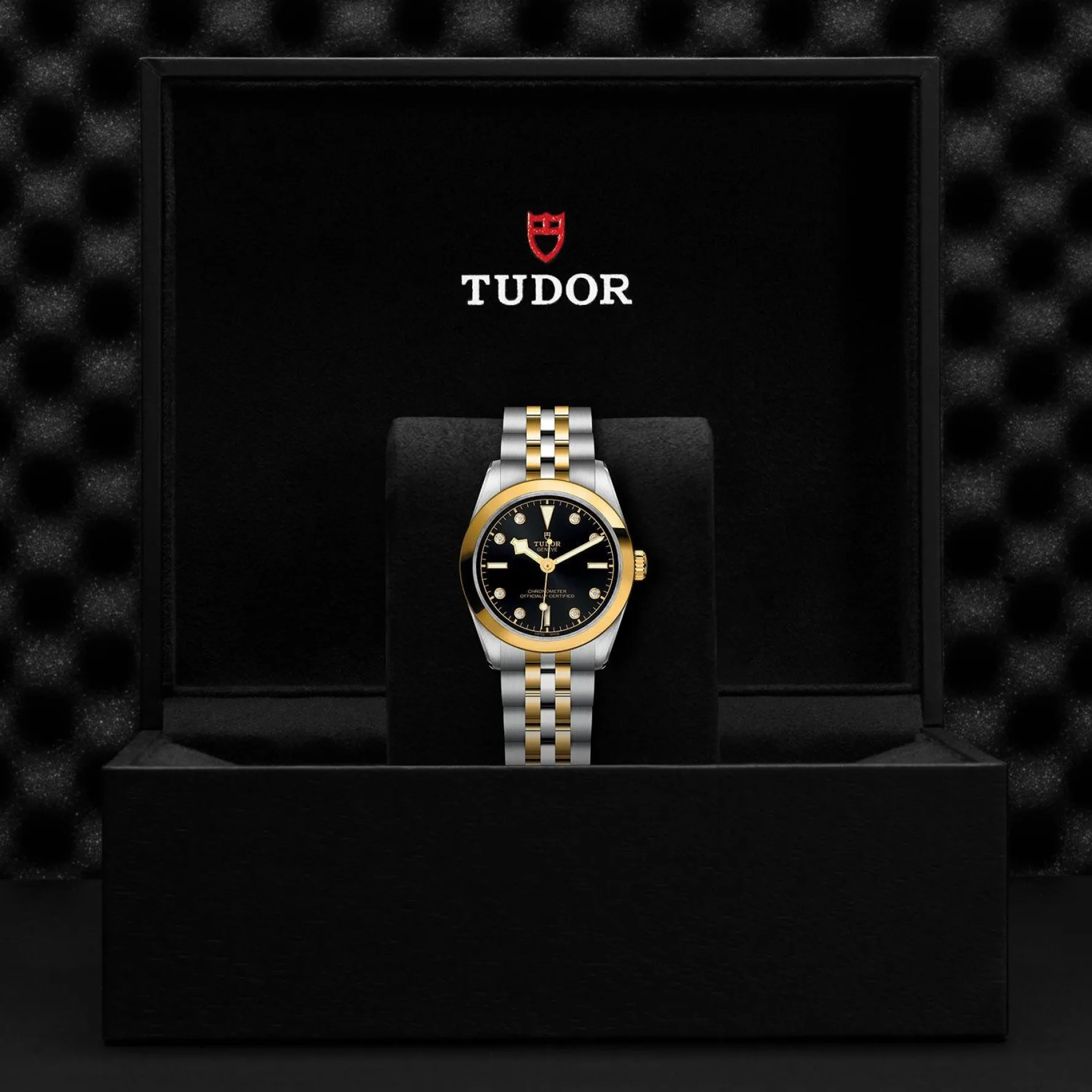 TUDOR Black Bay One S&G 31mm Diamond Automatic Watch