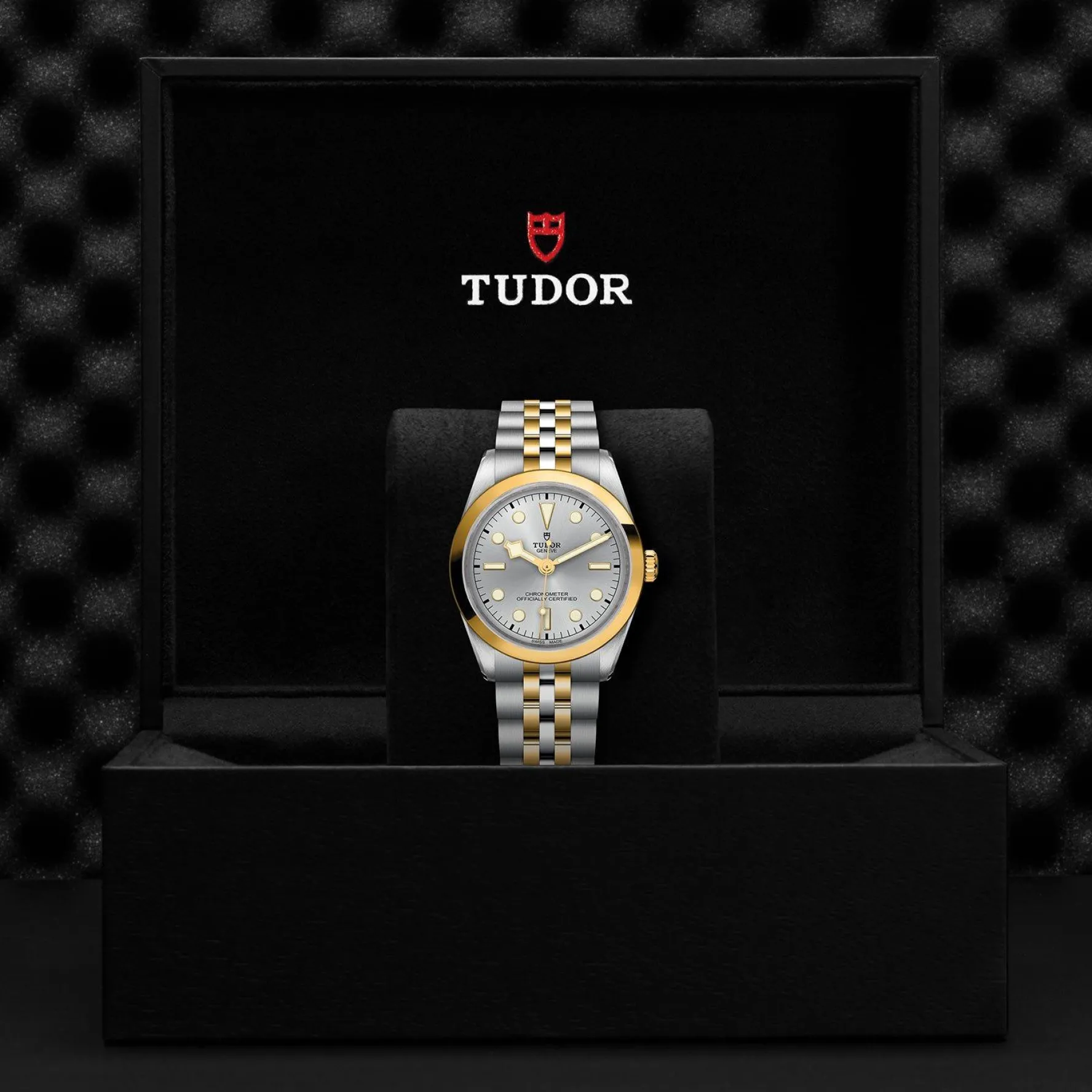 TUDOR Black Bay One S&G 36mm Automatic Men’s Watch