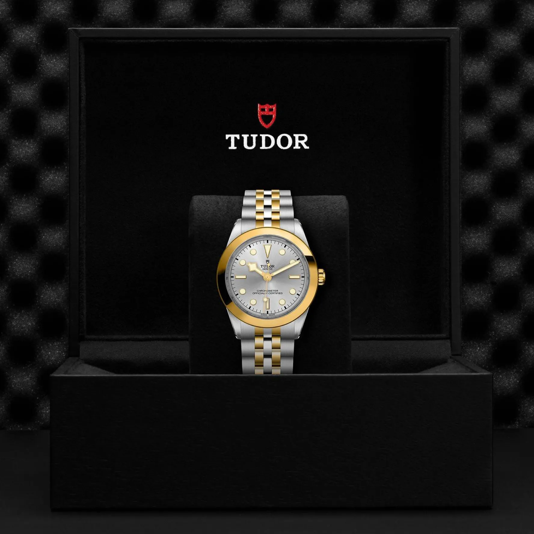 TUDOR Black Bay One S&G 39mm Automatic Men’s Watch