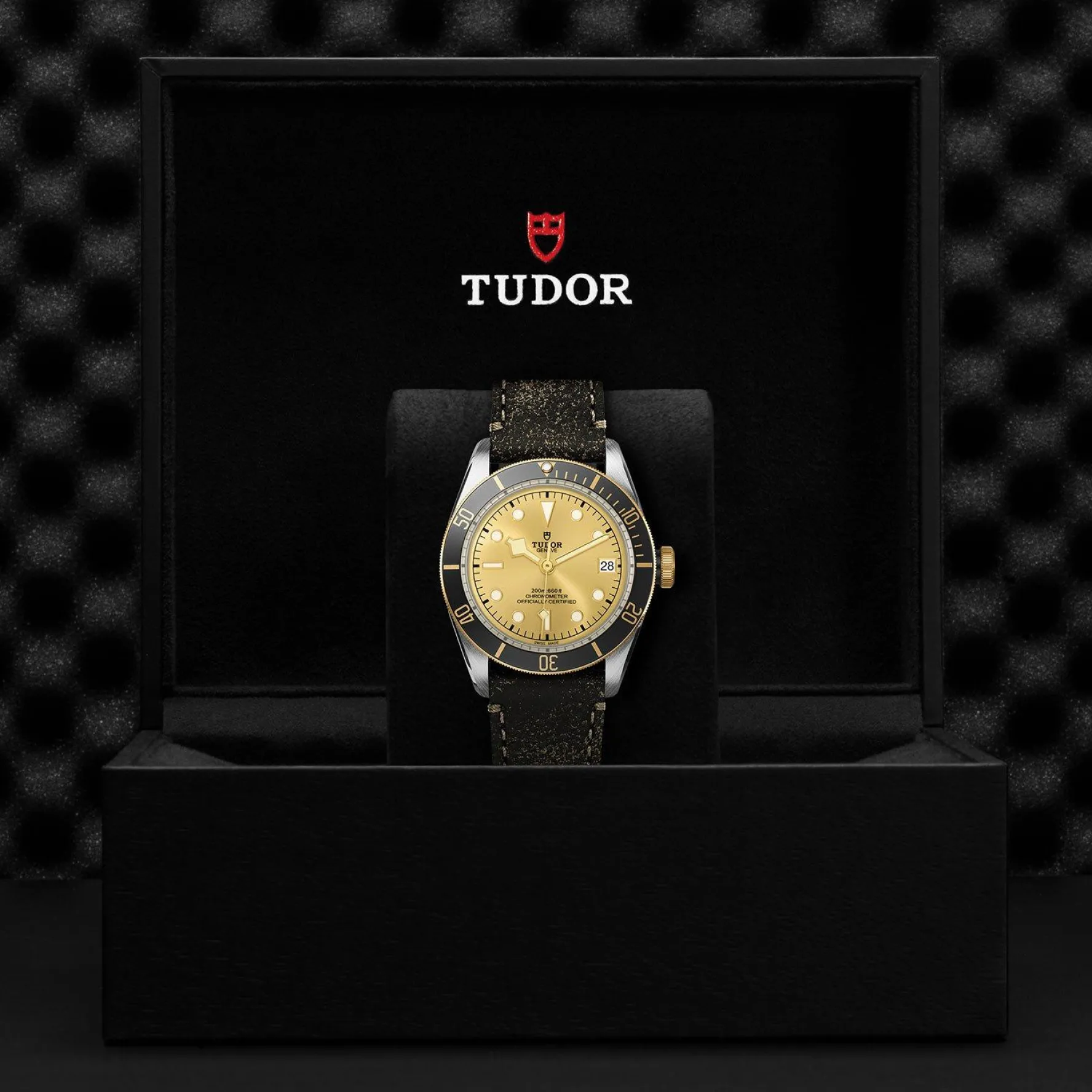 TUDOR Black Bay S&G 41mm Automatic Men’s Watch
